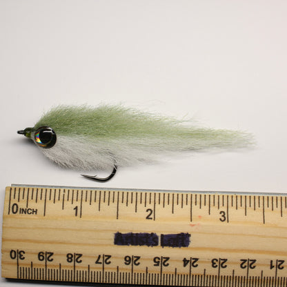 Clupeidae Predator Baitfish