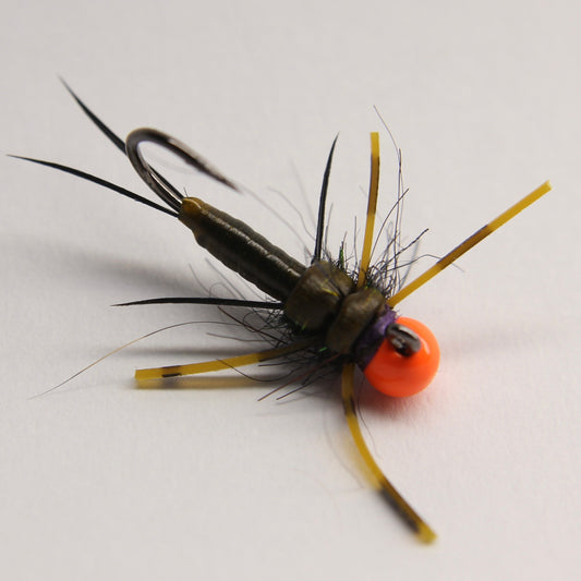 Lanko's Rubberback Stonefly